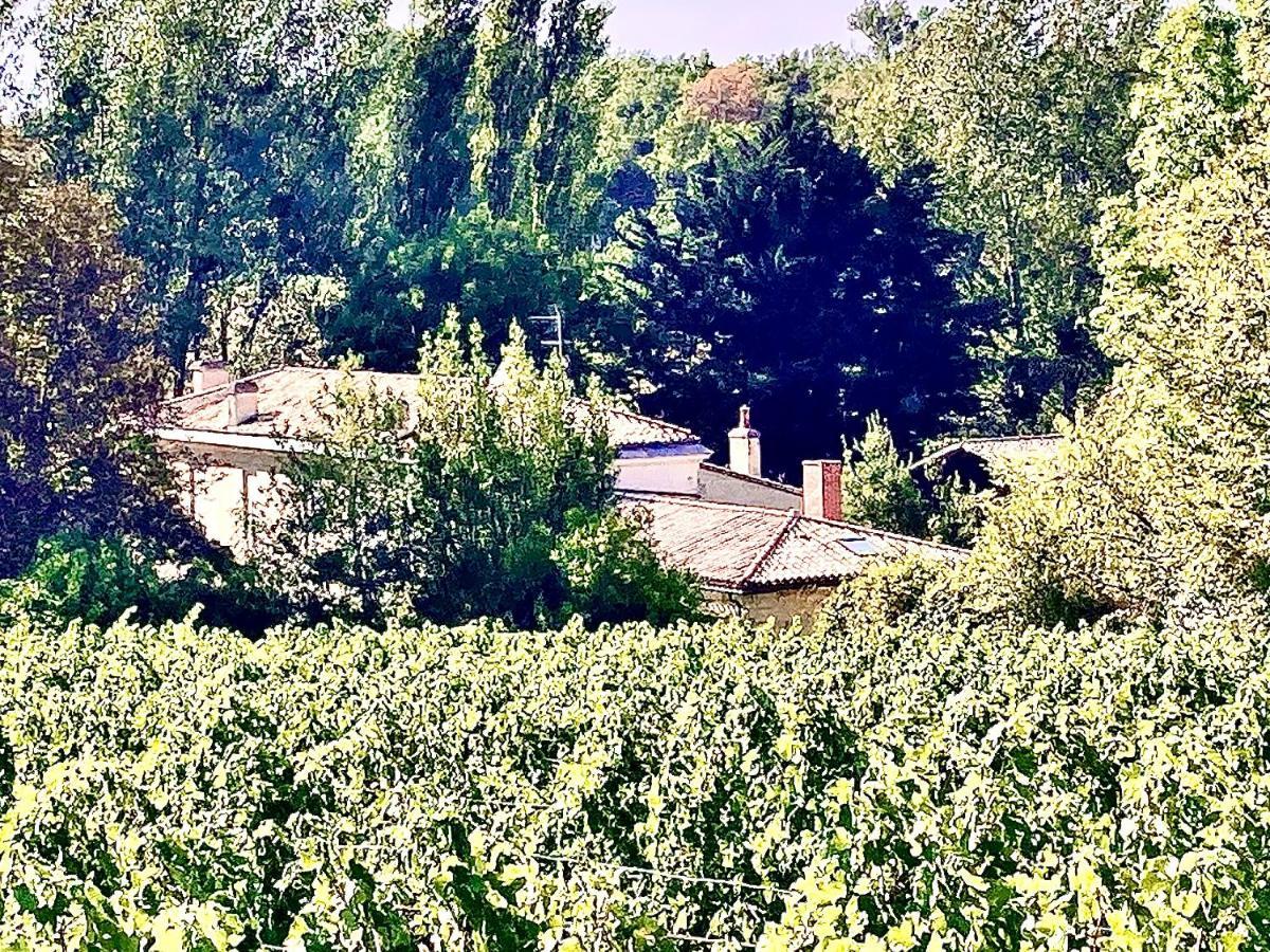 Villa Fabuleux - Domaine Du Moulin D'Andraut Bordeaux-Chevaux-Golf-St Emilion Montussan Exterior foto